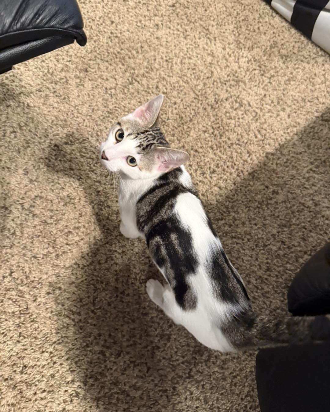 Photo of Dots and Snickers