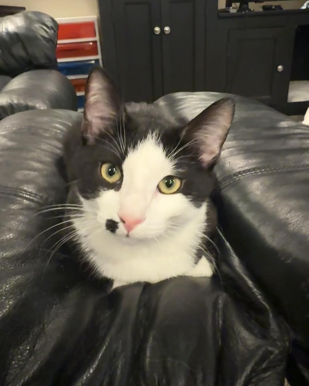 Photo of Dots and Snickers