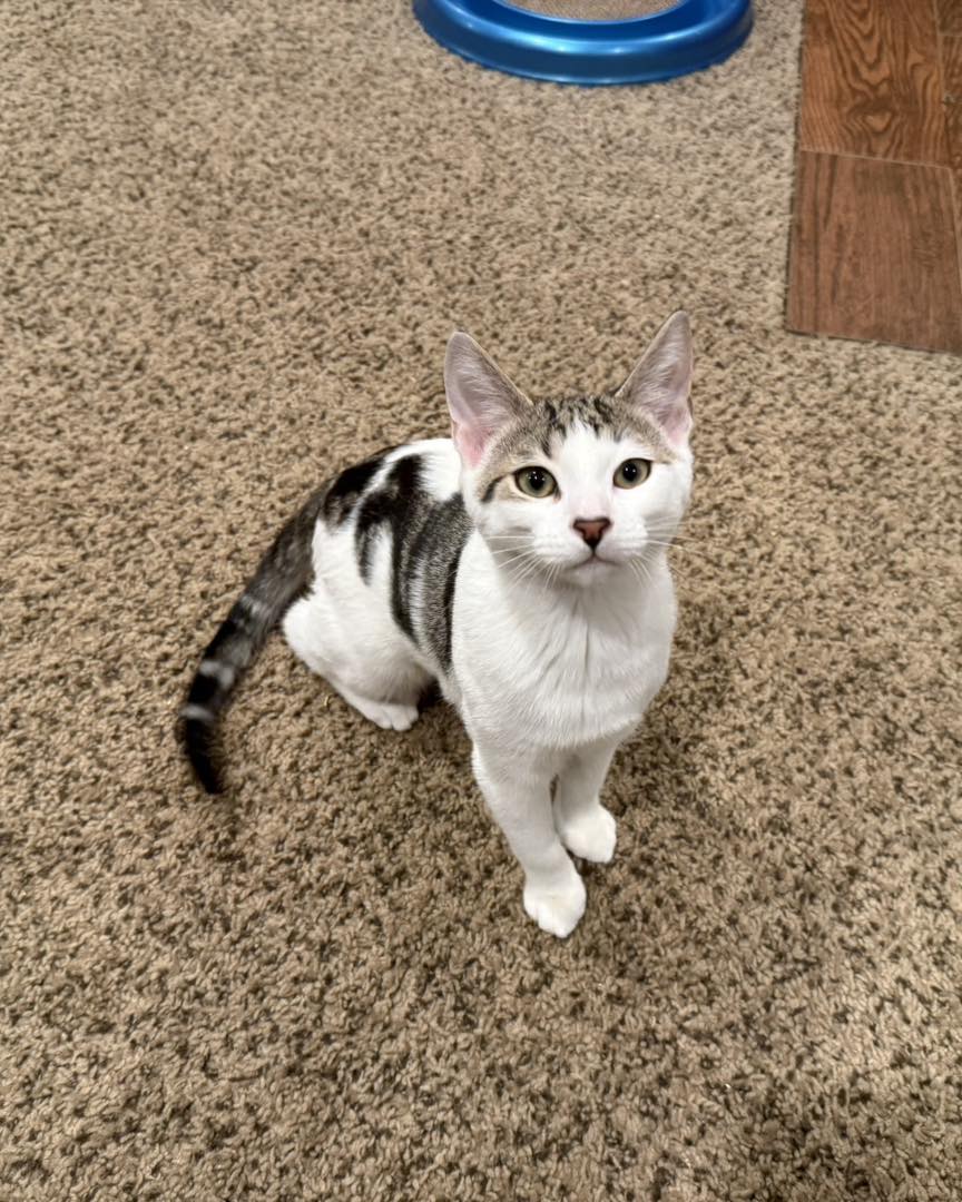 Photo of Dots and Snickers